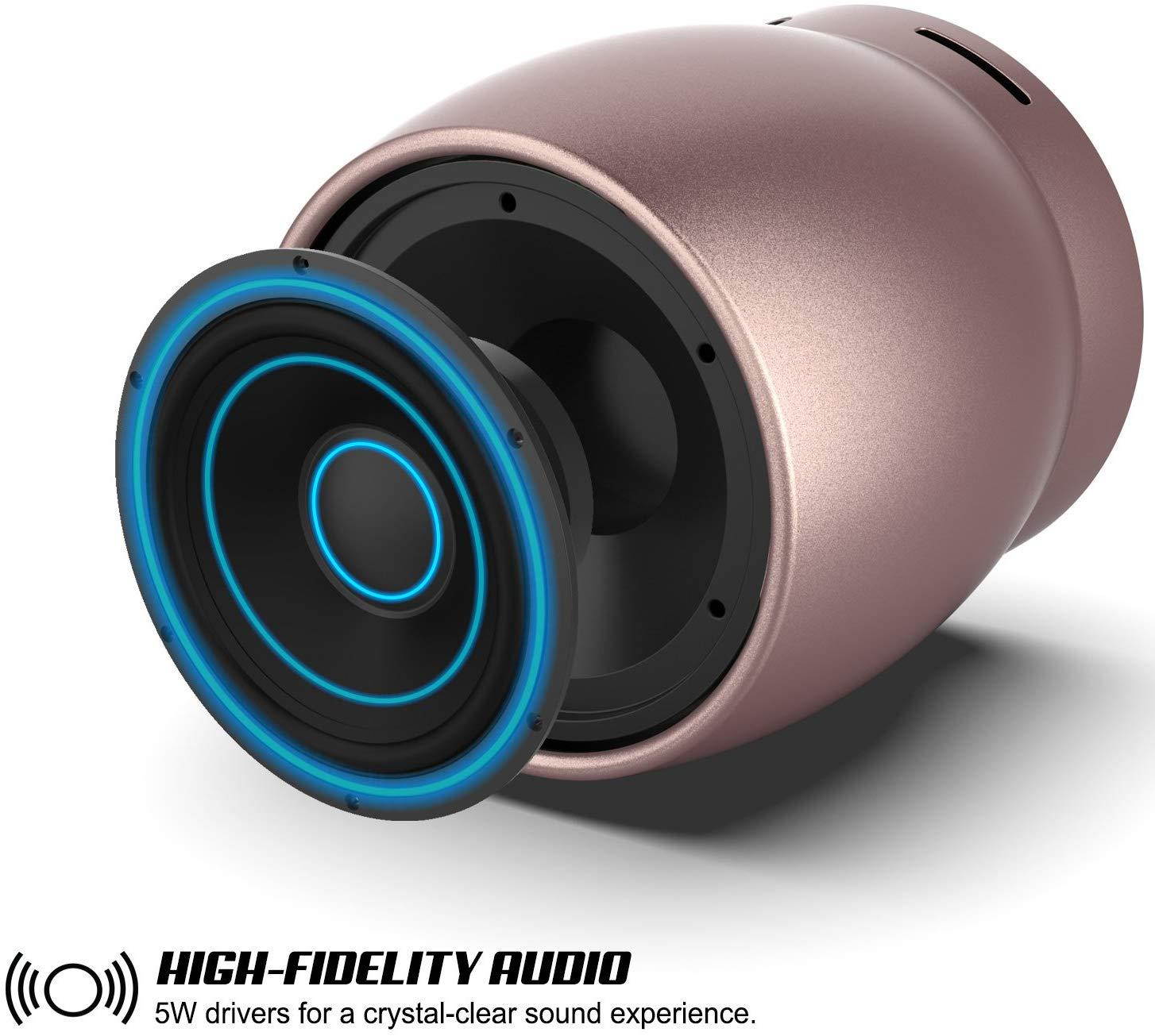 Portable Wireless Bluetooth Speaker, Powerful HD Speakers W/Enhanced Bass TF/SD Card Slot/AUX Input, Rechargeable Hands Free Speakerphone W/Mic Compatible W/iPhone/Android - Punkcase Rocker[Rose]