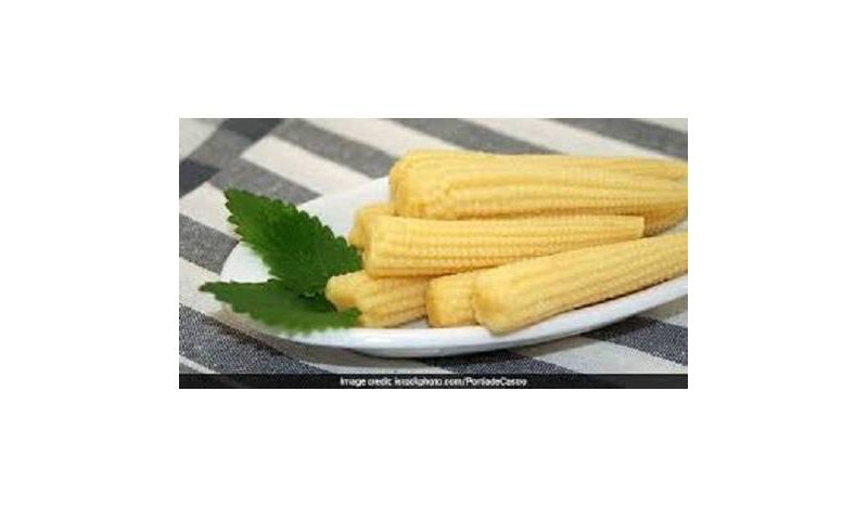 Dynasty Cut Baby Corn 15oz