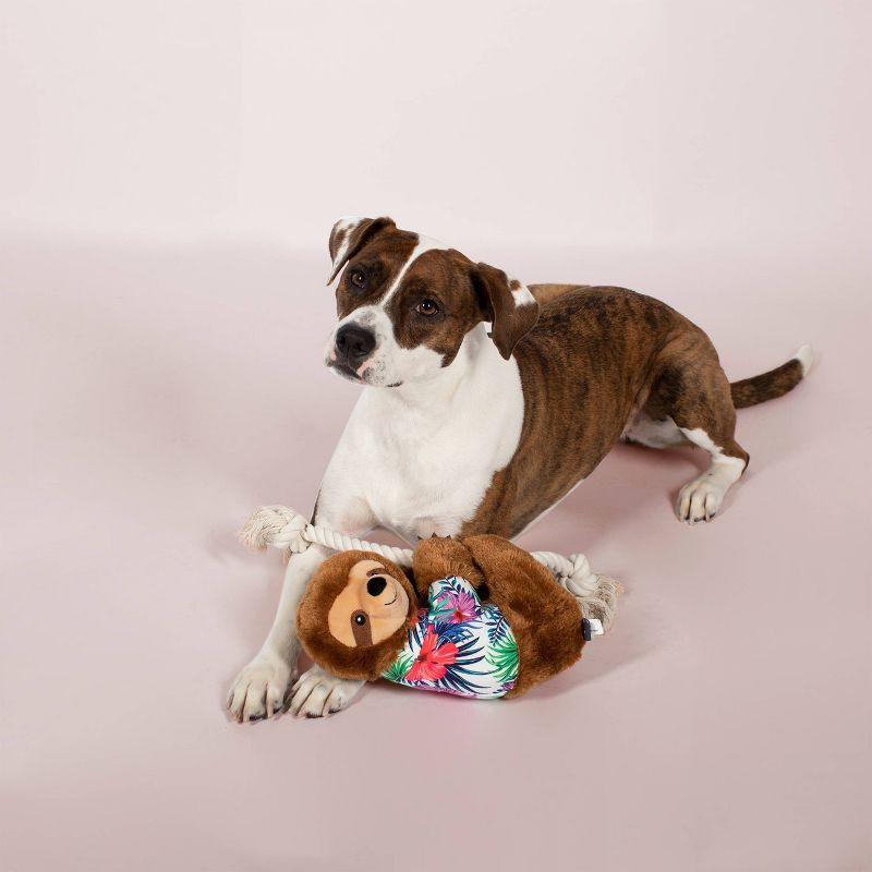 PetShop by Fringe Studio Hangin Around for Summer Sloth Living Dog Toy - L