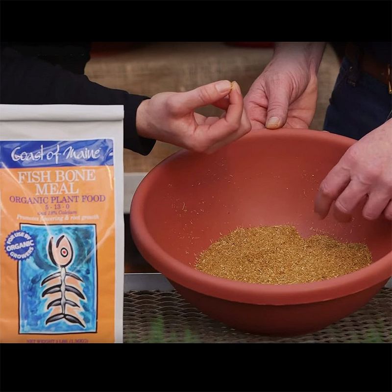 Coast of Maine OMRI Listed Fish Bone Meal Pack Organic Compost Potting Soil Blend for Container Gardens and Flower Pots, 3 Pound Bag