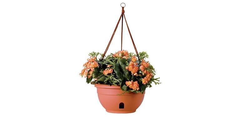 Self-Watering Hanging Basket - Gardener's Supply Company