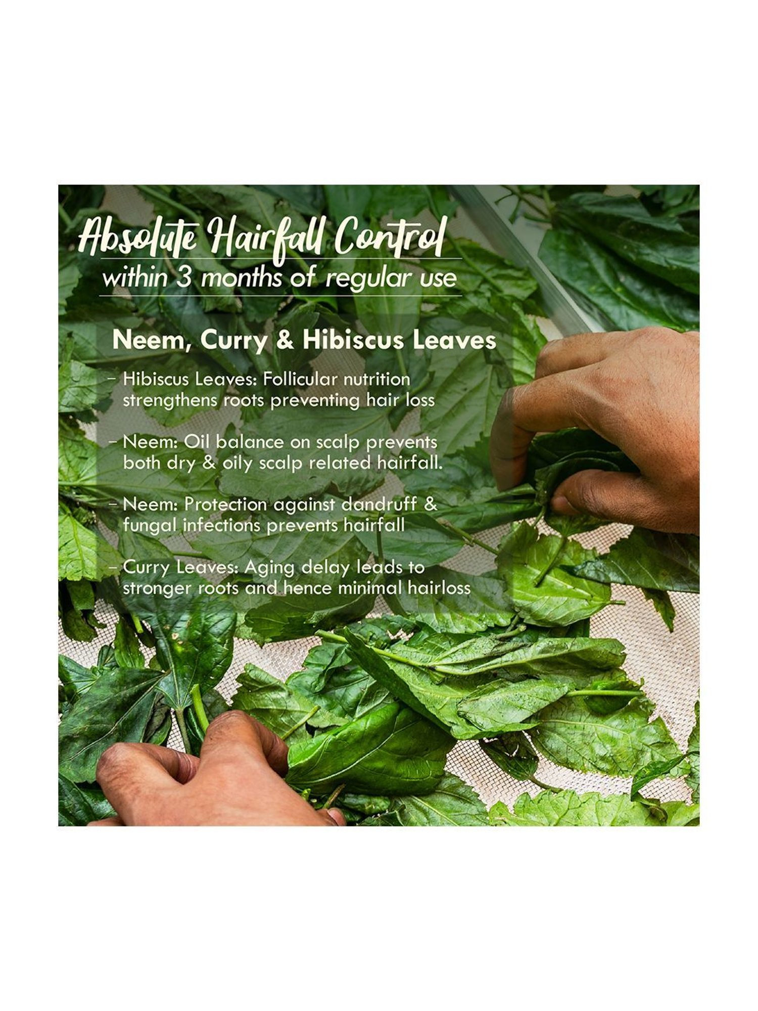 Earthraga Moroccan Argan Hair Oil - 100 ml