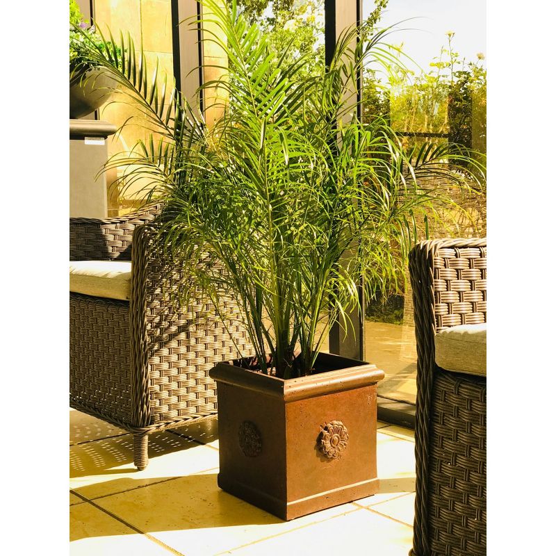 9.1" Kante Lightweight Classic Square Chrysanthemum Concrete Planter Copper Patina - Rosemead Home & Garden, Inc.