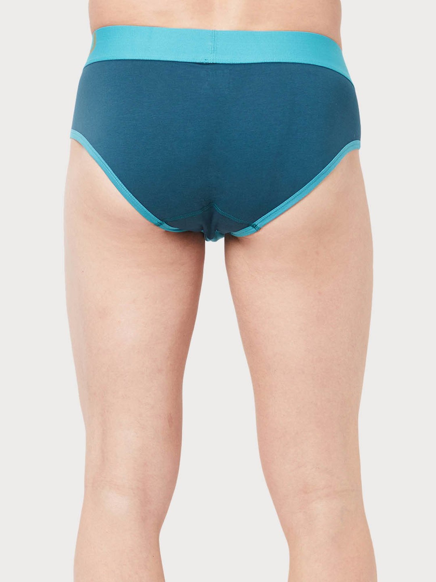 Zoiro Pagoda Blue & Directory Blue Regular Fit Briefs - Pack Of 2