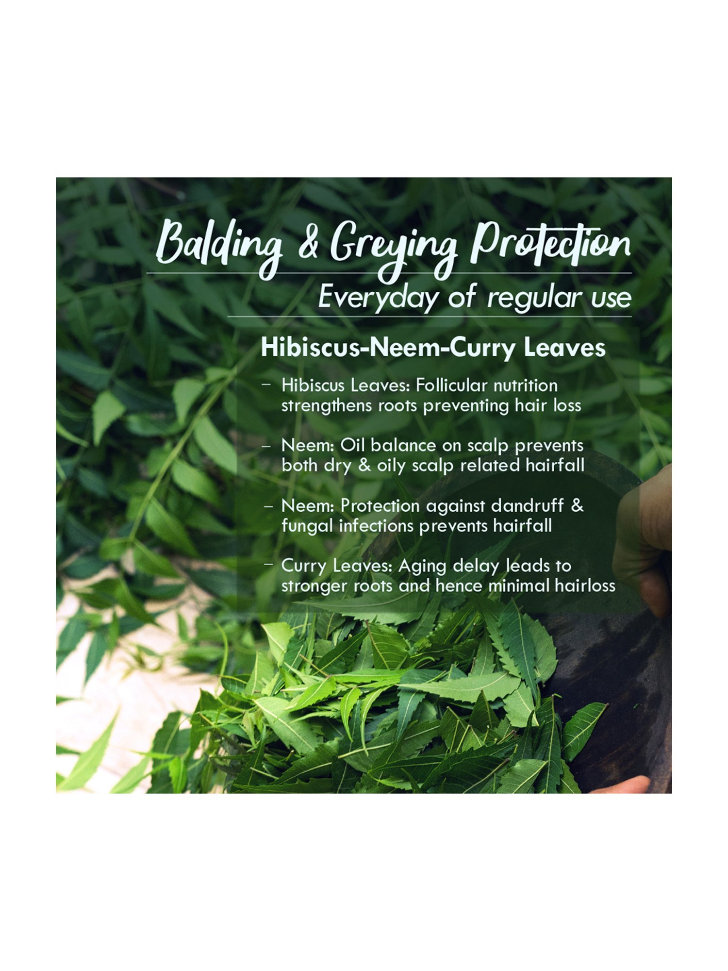 Nat Habit Men's Hair Revital Balding & Anti-Greying Specialist Winter Dasabuti Hair Oil - 100 ml