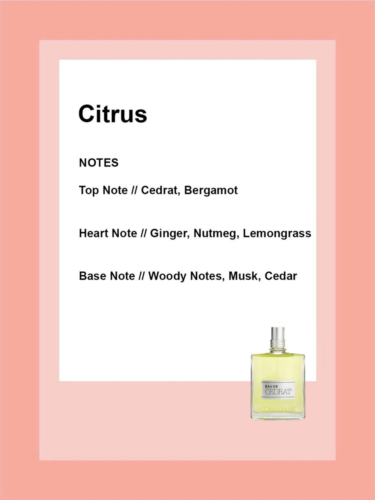 Jean Paul Gaultier Divine Eau de Parfum for Women - 100 ml