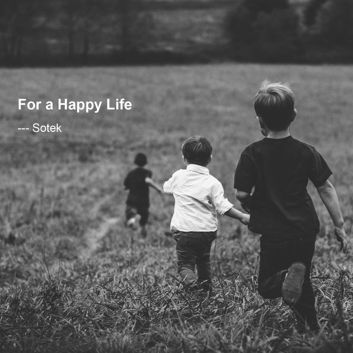 Sotek Compatible Ink Cartridge Replacement for PGI-1200XL Mixfy MB2320 MB2020 MB2050 MB2350 MB2120 MB2720 (BK/C/M/Y, 4-Pack)