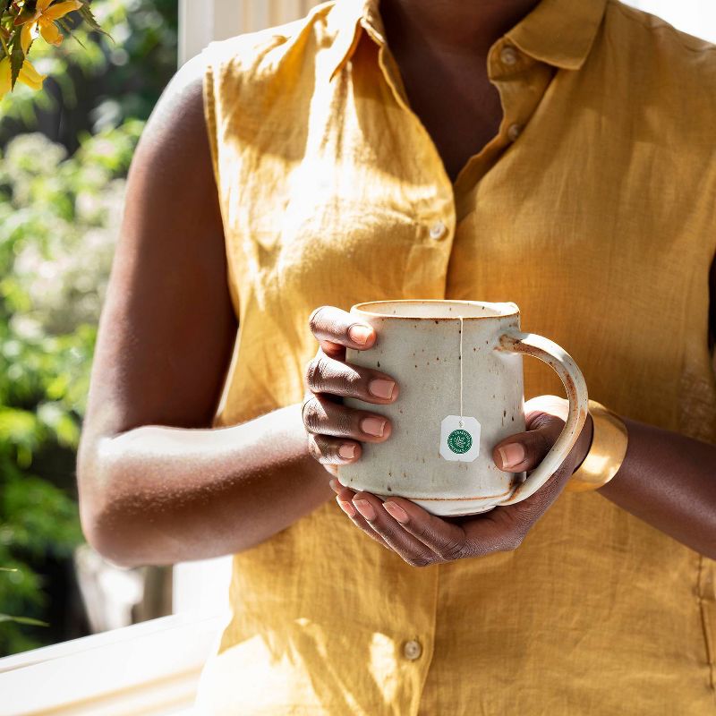 Traditional Medicinals Turmeric with Meadowsweet & Ginger - 16ct