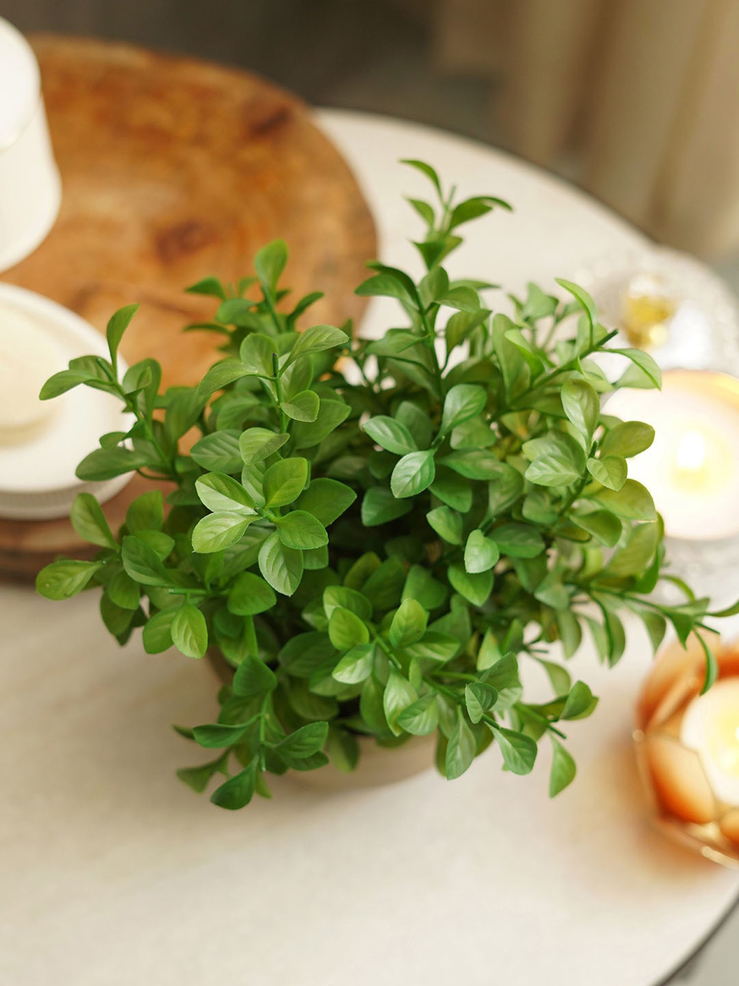 Pure Home and Living Green Plastic Potted Plants