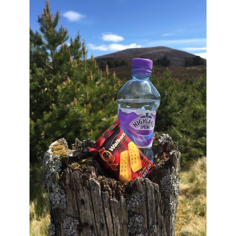 Chips Ahoy! Reese's Pieces Cookie - 9.5oz