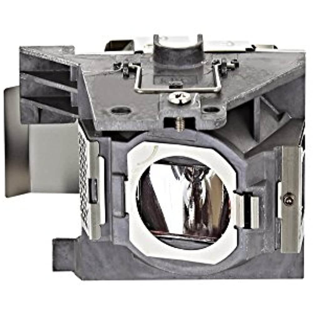 Viewsonic RLC-105  Genuine Compatible Replacement Projector Lamp . Includes New P-VIP 240W Bulb and Housing