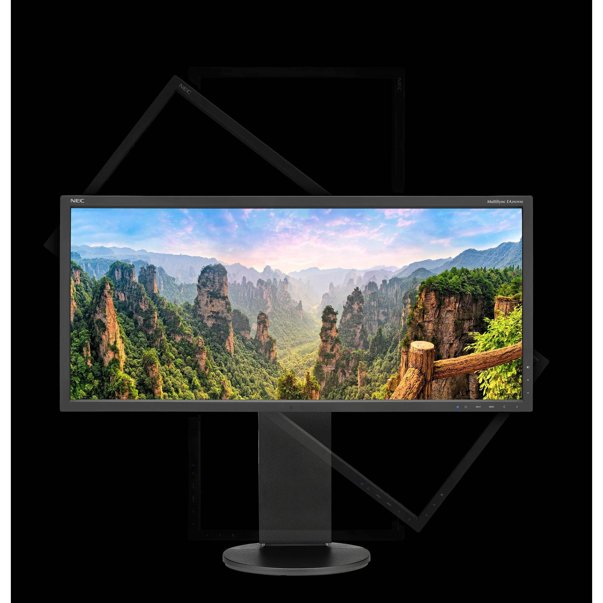 NEC  EA295WMI-BK 29" 21:9 Ultrawide IPS Monitor