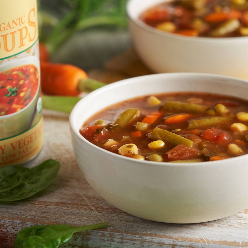 Amy's Organic Low Fat Chunky Vegetable Soup - 14.3oz