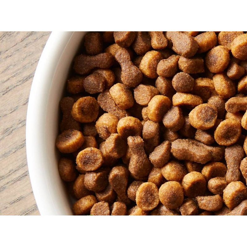 Rachael Ray Nutrish Yummy Chicken and Veggies Recipe Dry Cat Food - 2.5lbs