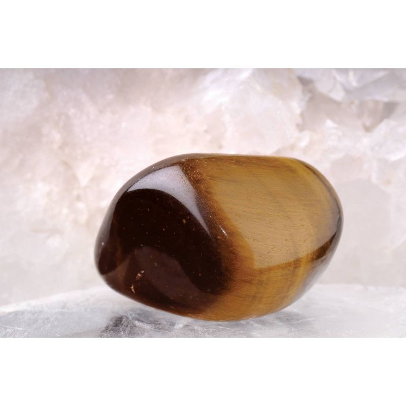 Smithsonian Rock and Gem Dig Kit