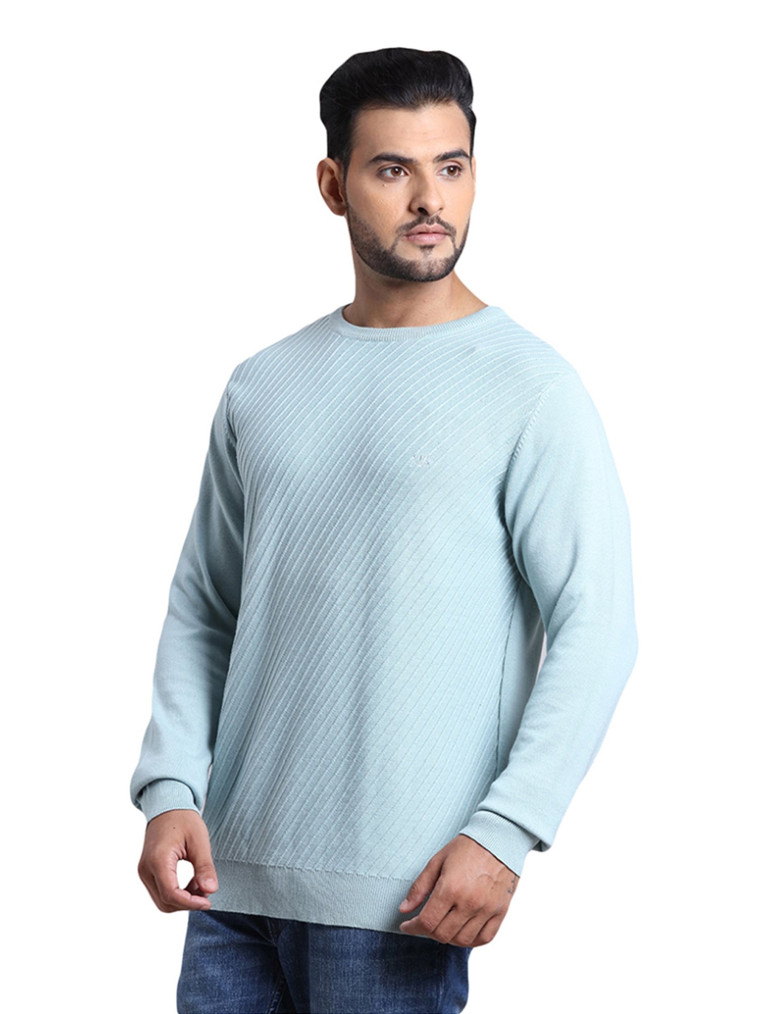 ColorPlus Blue Cotton Tailored Fit Self Pattern Sweater