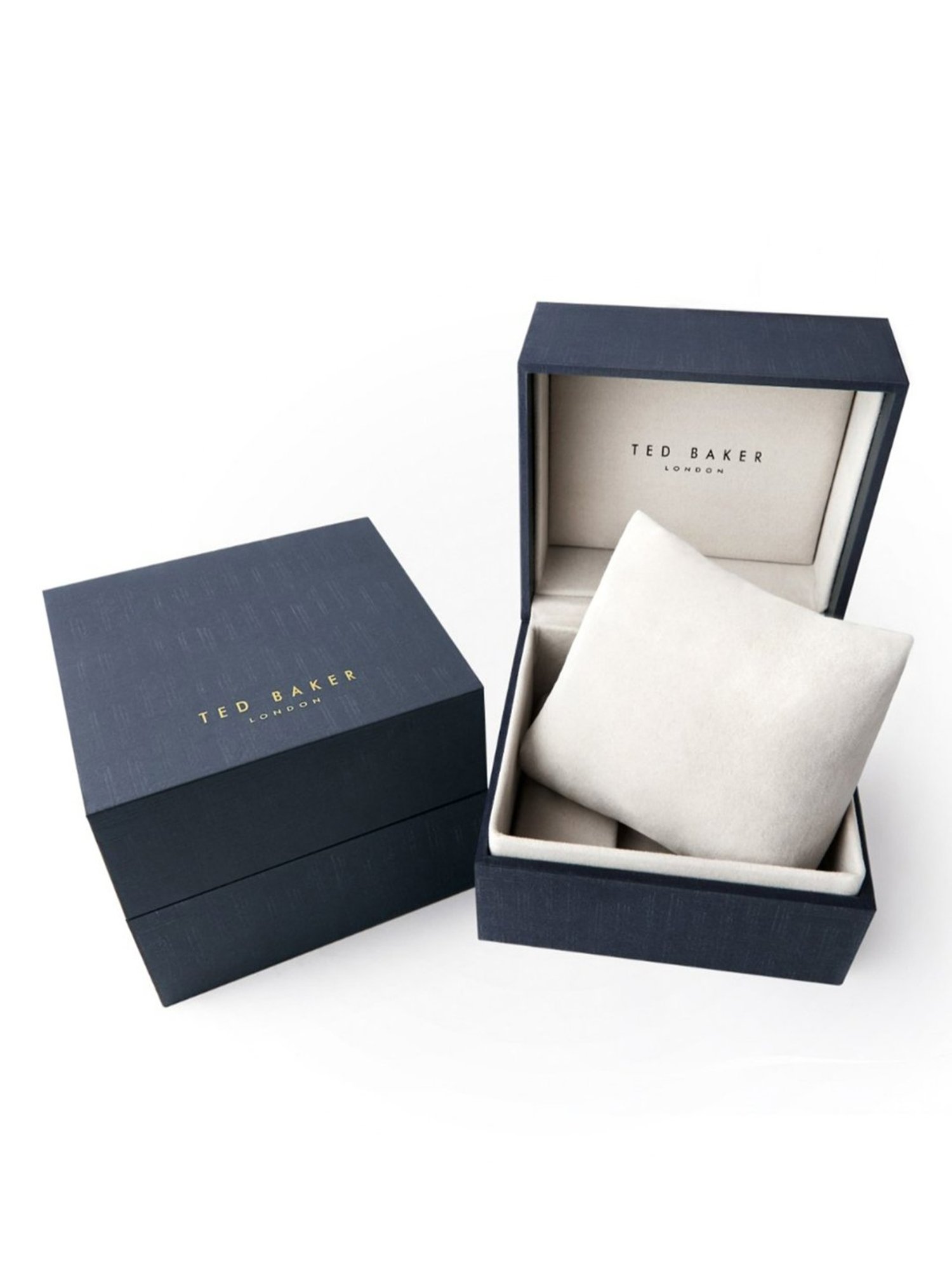 TED BAKER BKPFZF1249I Classic Chic Analog Watch for Women