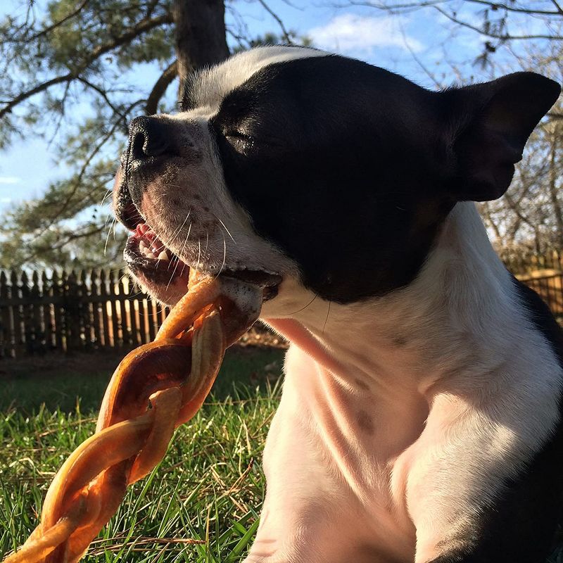 Pawstruck Bully Stick Variety Pack - Includes 7 Different Low-odor Bully Sticks for Dogs, Best Beef Pizzle Stix Dog Treats: Straight, Braided, Ring, Spring - Bully Stick Variety Pack
