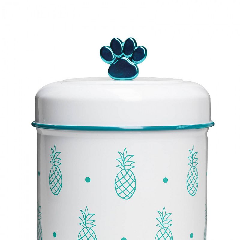 Amici Pet Pet Pineapple Glass Food Canister, Small, Turquoise, 64oz