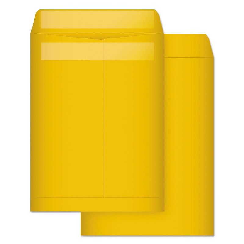 Quality Park High Bulk Self-Sealing Envelopes 9 x 12 Kraft 100 per box 43563