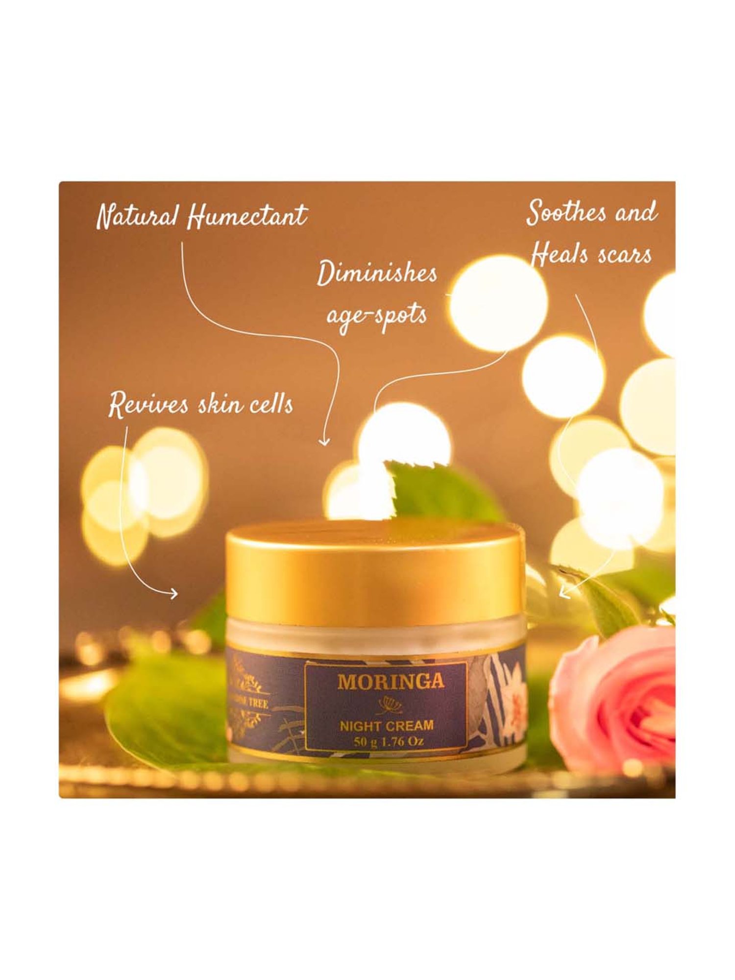 Biotique Wheatgerm Anti-Ageing Night Cream - 50 gm