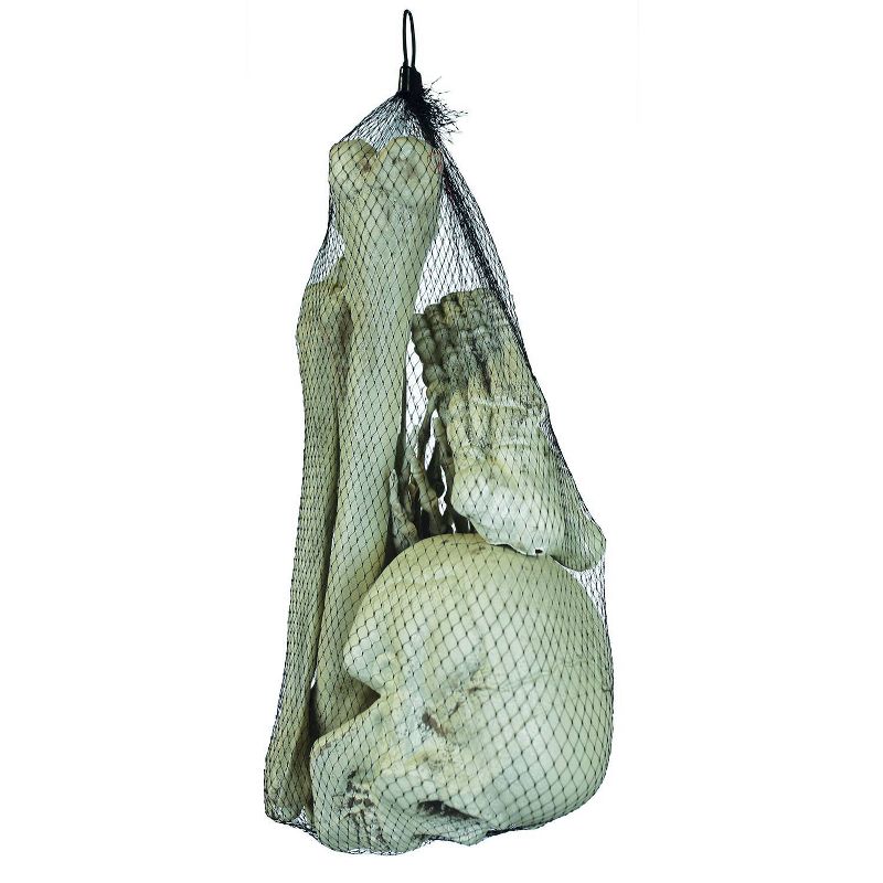 Halloween Bag Of Bones