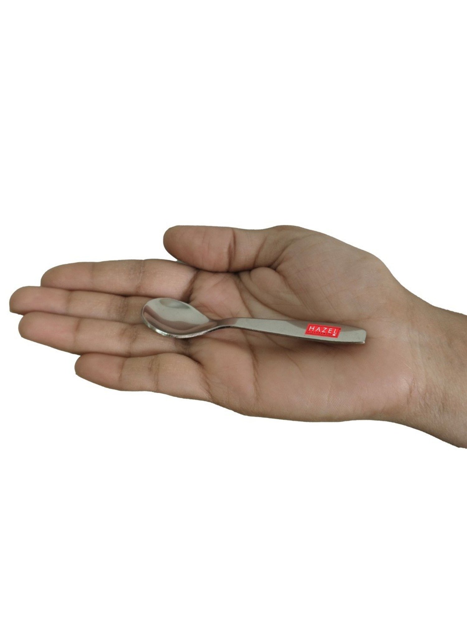 HAZEL Silver Stainless Steel Spice Box Mini Spoons - Set of 12