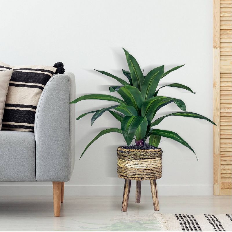 24" x 24" Artificial Dracaena Plant in Basket Stand - LCG Florals
