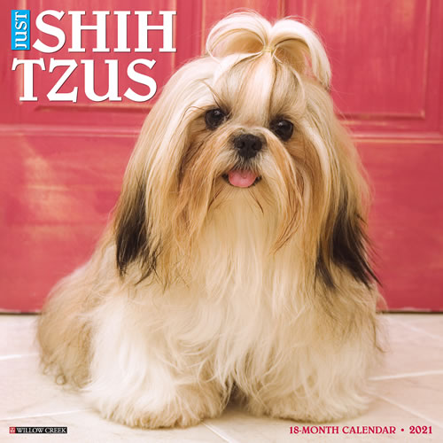 2021 Shih Tzus Wall