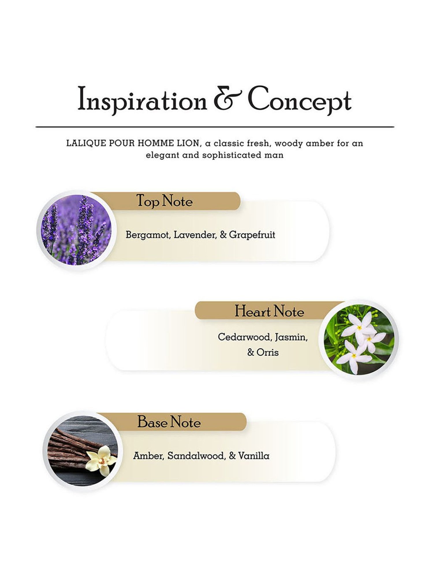 LALIQUE Lion Pour Homme Eau De Parfum for Men - 125 ml