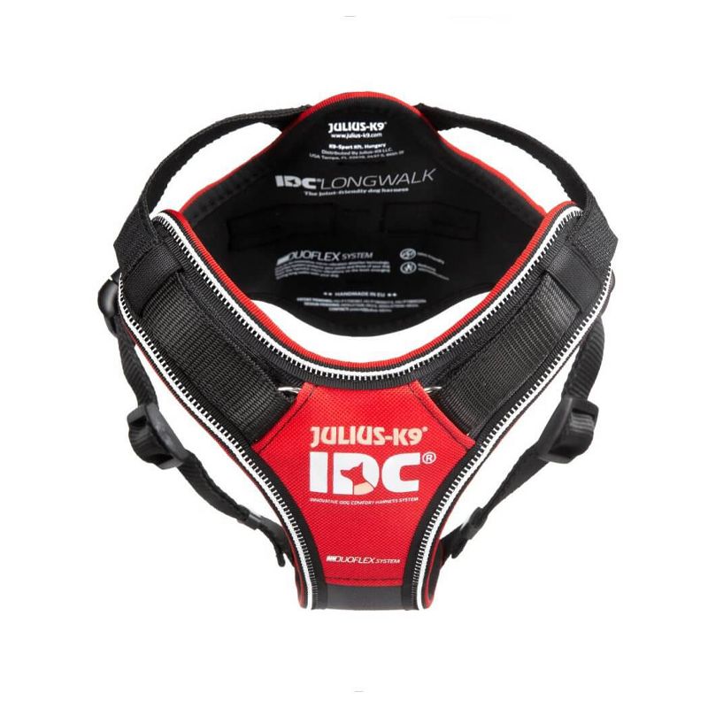 Safety Light Auto Dog Collar