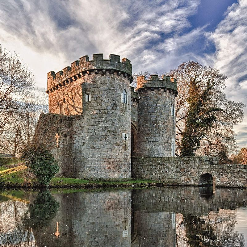 2021 The Everygirl Wall Calendar 15" x 12" Liam - Blue Sky