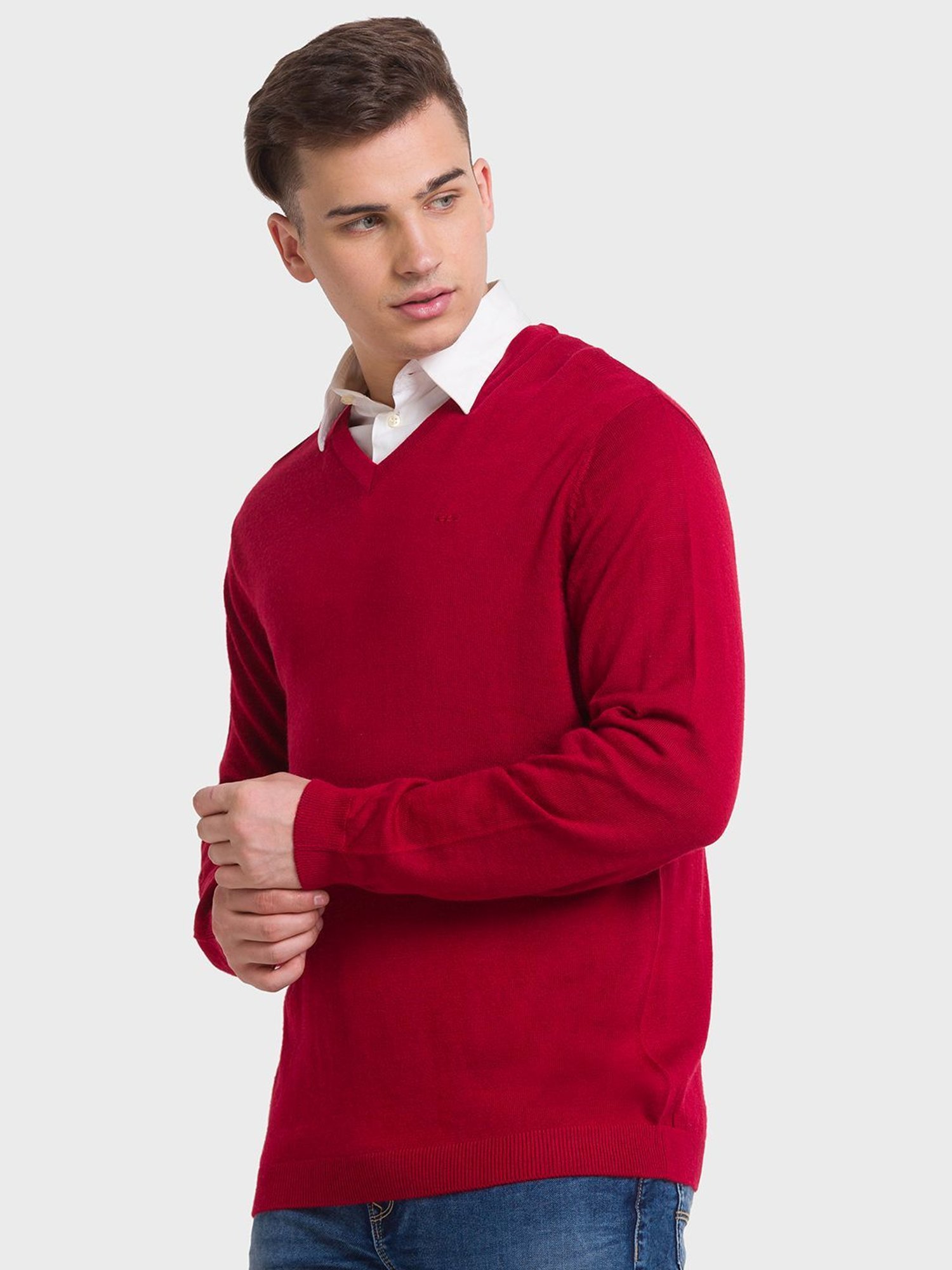 ColorPlus Red Tailored Fit Sweaters