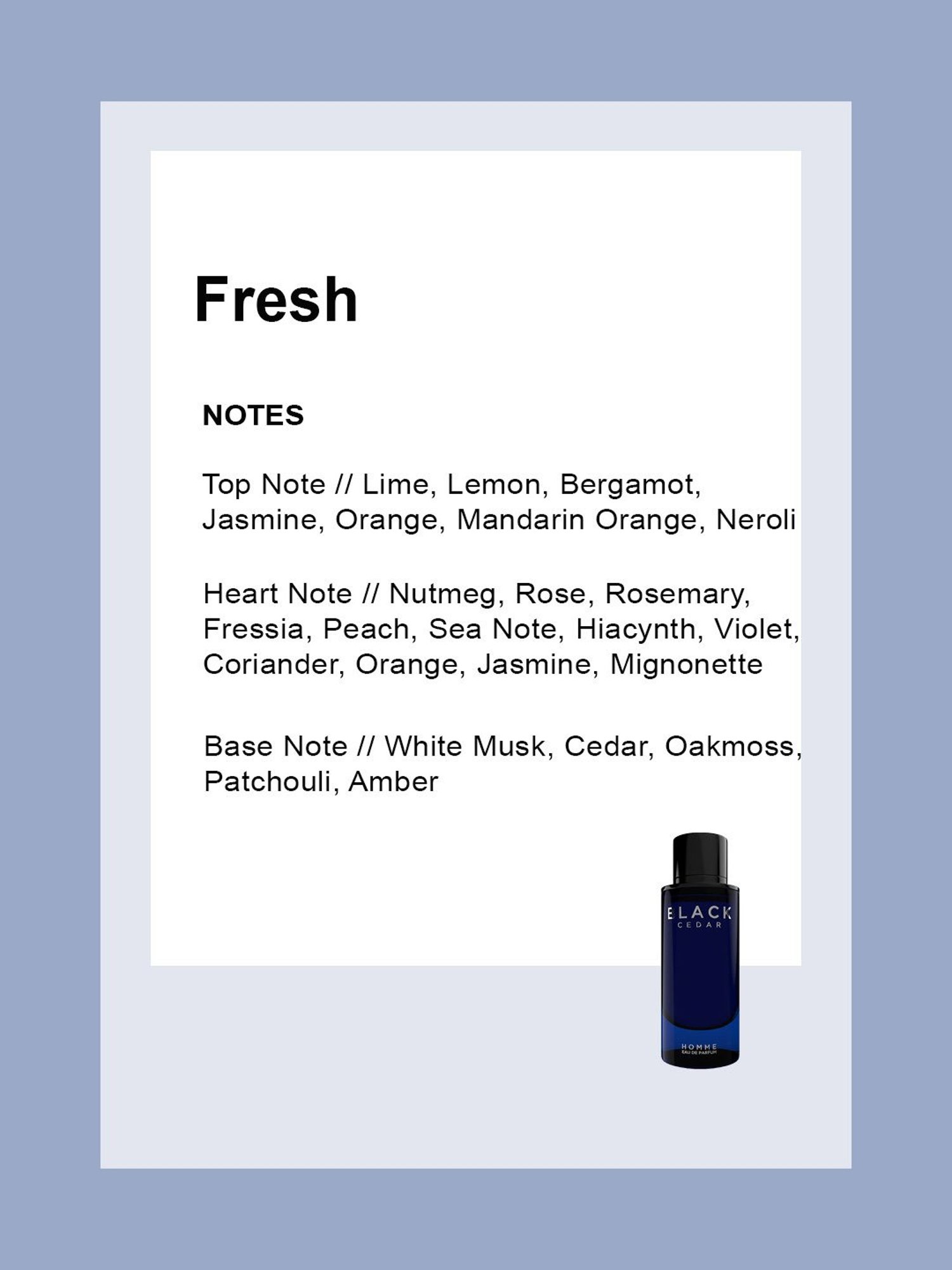 Colorbar Fragrances Black Cidar EDP for Men - 100 ml