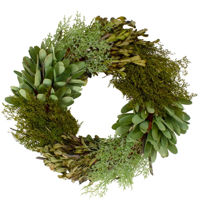 Northlight Frosted Pine Cone and Foliage Artificial Christmas Twig Wreath - 15 Inch, Unlit