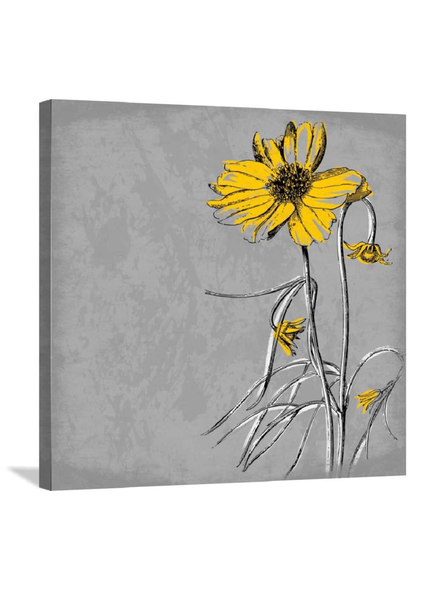 ARTE'VENUE Flowers Multicolor Canvas Wall Arts - Set of 4 (10 X 10 inch Each)