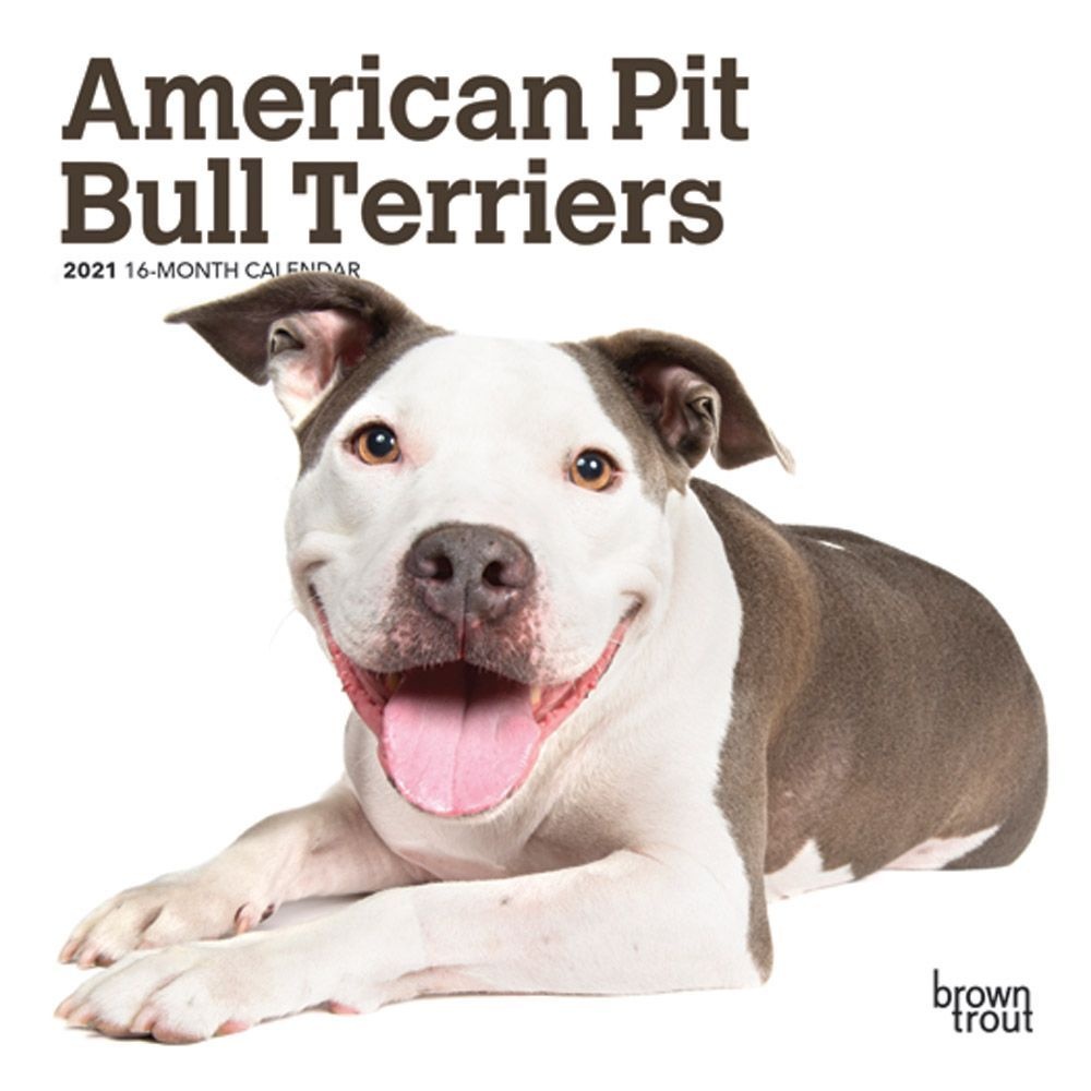 BrownTrout,  American Pit Bull Terriers Mini Wall Calendar 2021