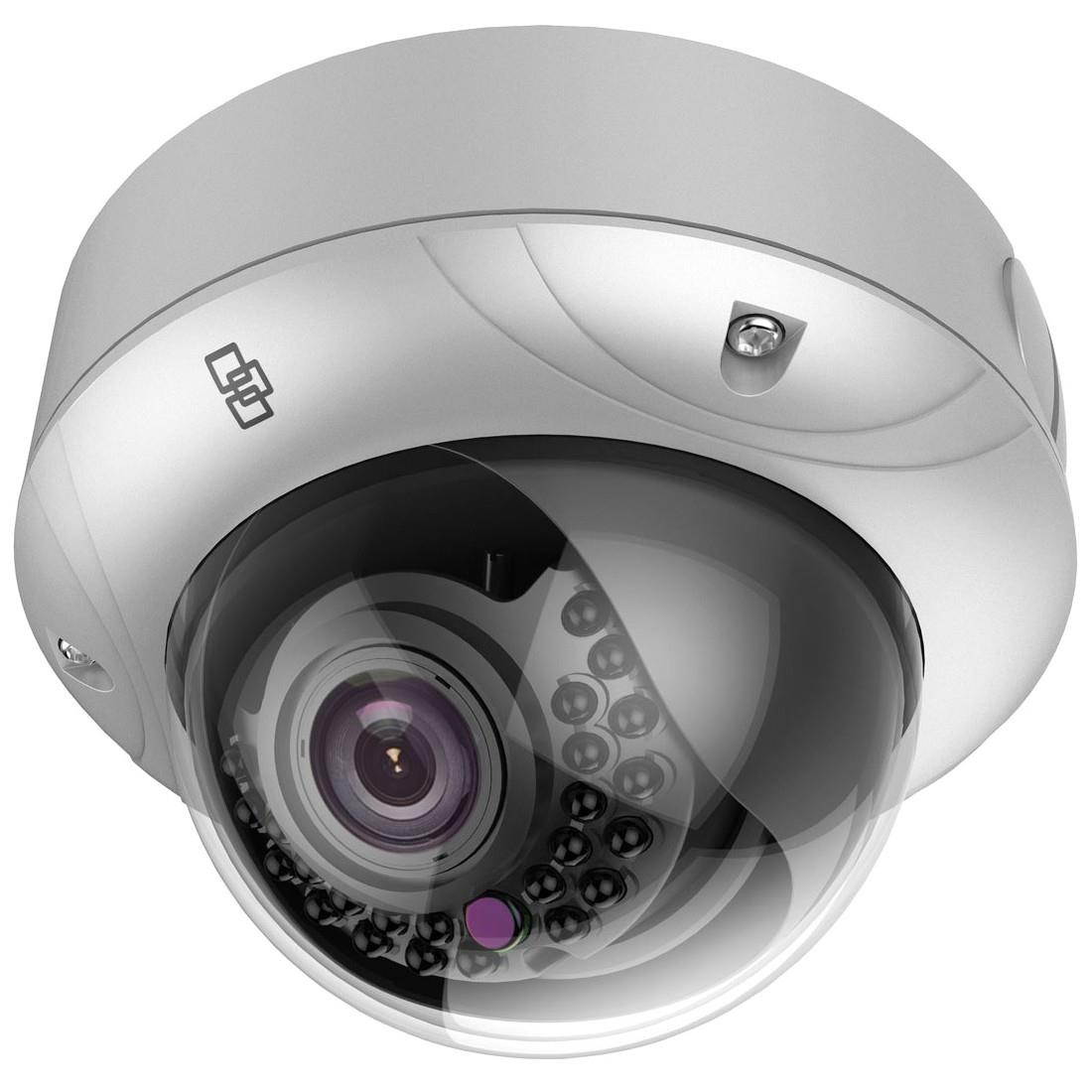 UTC Fire & Security TruVision 2 Megapixel Network Camera - Monochrome, Color