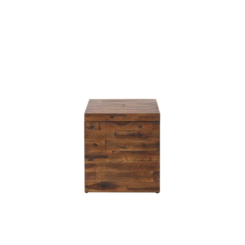 17.75" Cassian Storage Cube Trunk Dark Brown - Summerland Home