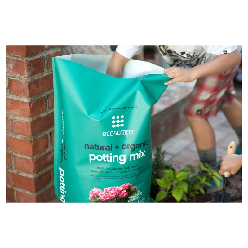 6qt Potting Soil - EcoScraps