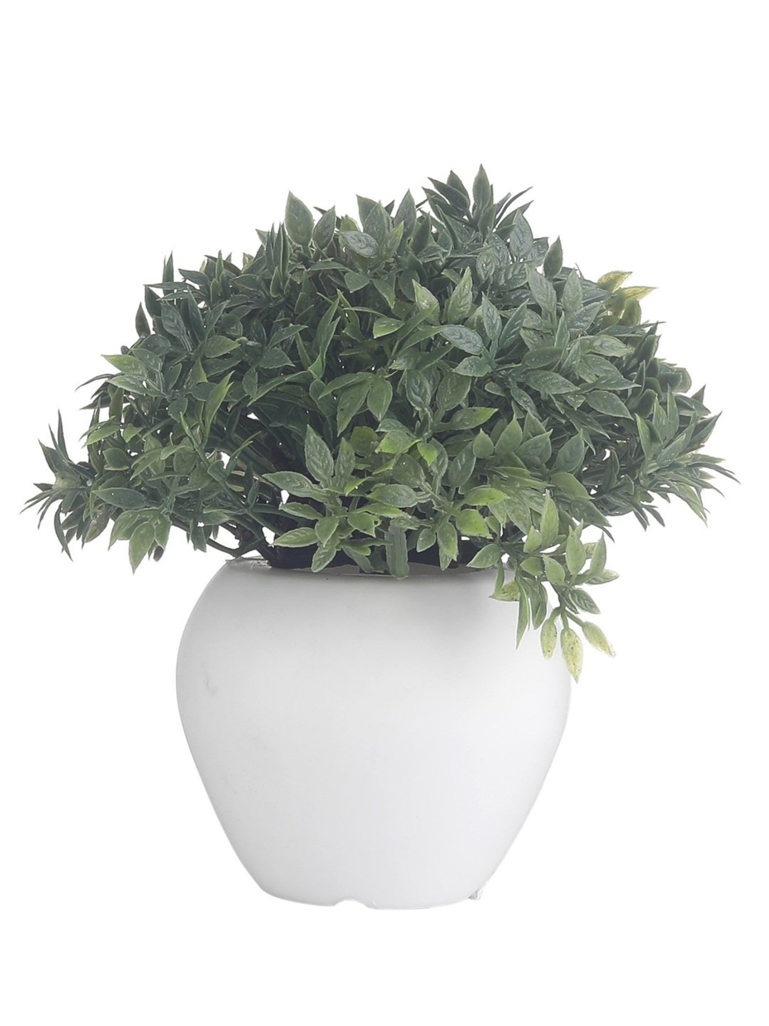 Foliyaj Multicolor Plastic Artificial Mini Bush
