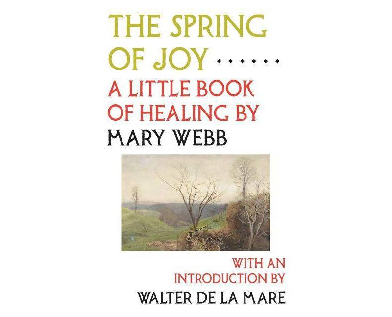 The Spring of Joy - by  Mary Webb (Paperback)