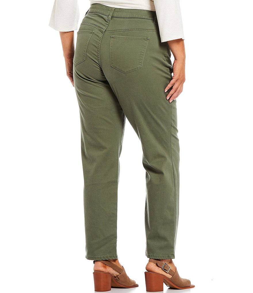 Westbound Plus Size the FIT FORMULA Mid Rise Straight Leg Pants