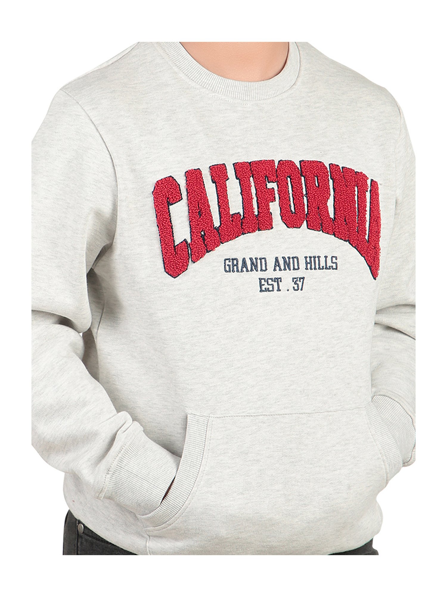 Bodycare Kids Grey Embroidered Full Sleeves Sweatshirt