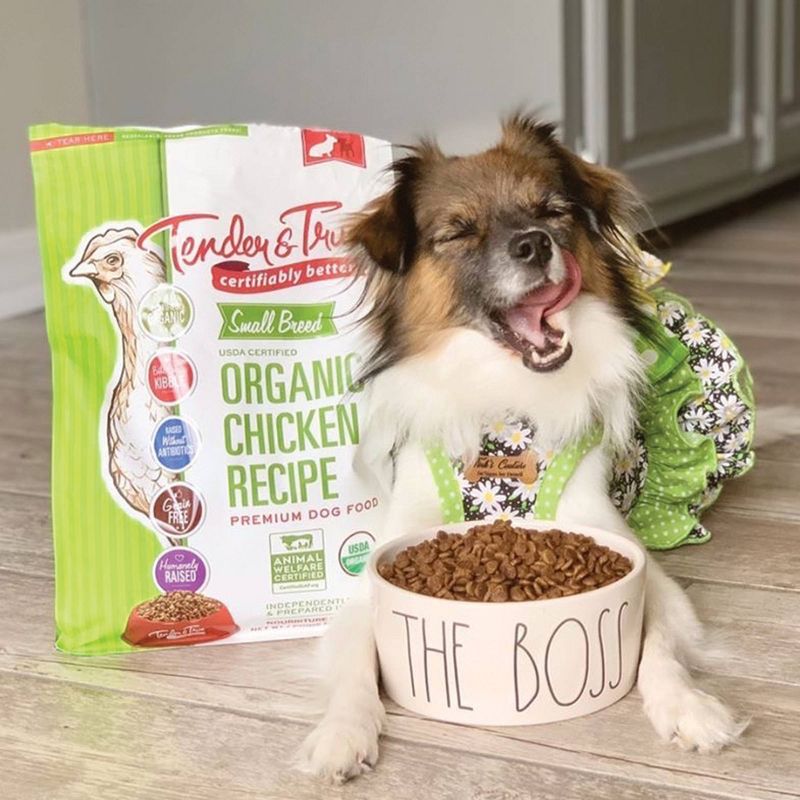 Blue Buffalo Delights Grain Free Paté Small Breed Wet Dog Food Top Sirloin & Grilled Chicken Flavors - 3.5oz/12ct Variety Pack