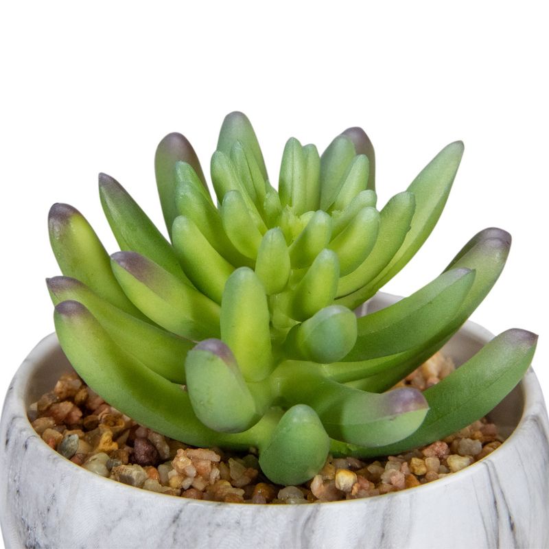 Northlight 4.25" Green Artificial Succulent in Faux Marble Pot