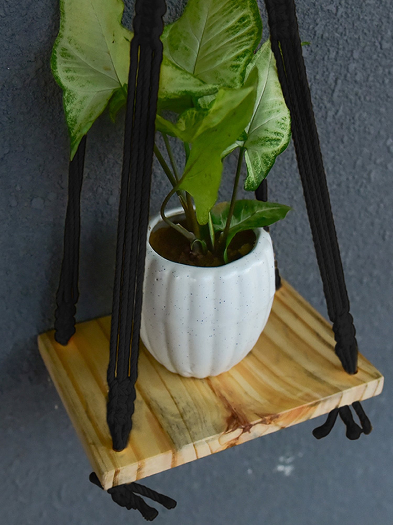 Gathari Macram&iquest; Black Pine Wood Wall Hanging Shelf