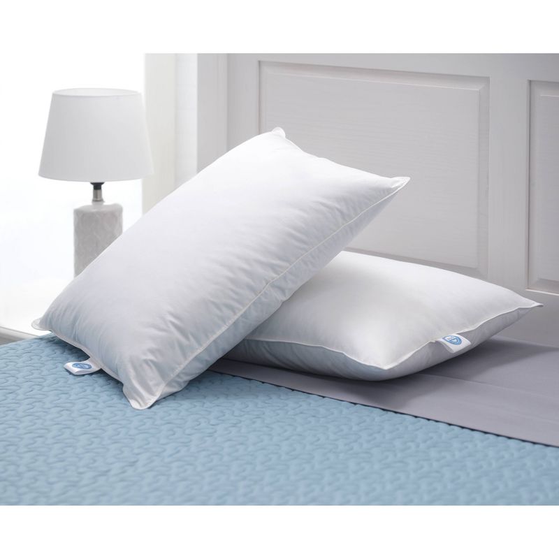 Standard 2pk Down Bed Pillow White - Allied Home