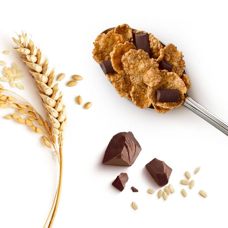 Special K Chocolately Delight Breakfast Cereal, Family Size - 18.5oz  - Kellogg's