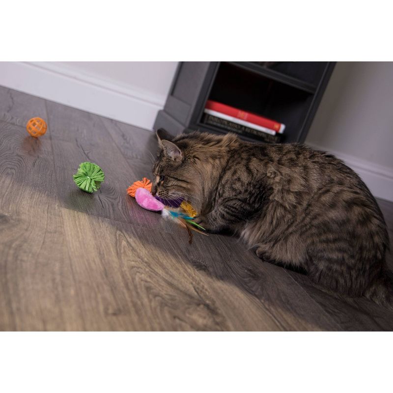 SmartyKat Smarty Stash Variety Cat Toy - 13pk